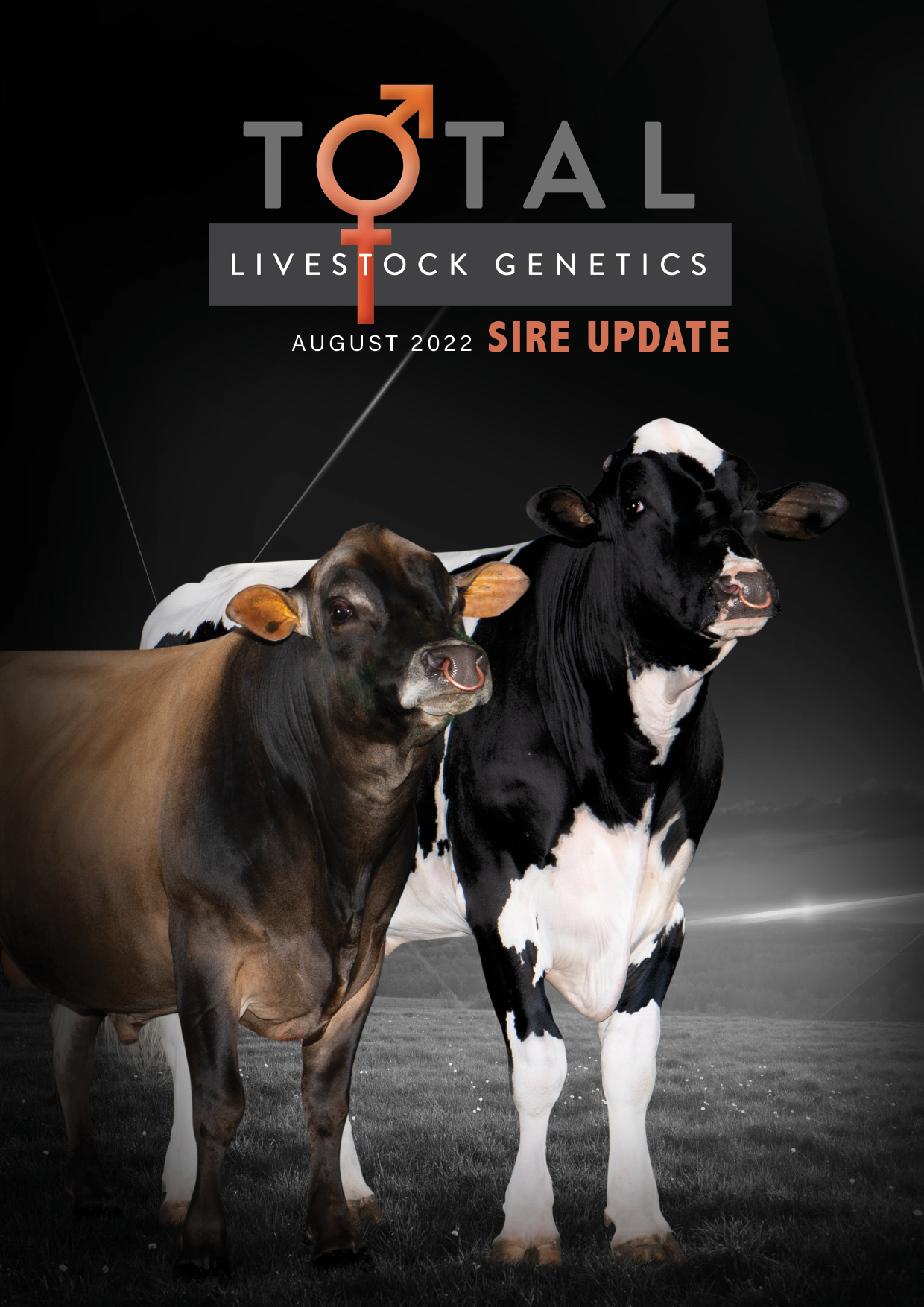 TLG-August-2022-catalogue-Final-for-LR-distribution-new-swatches