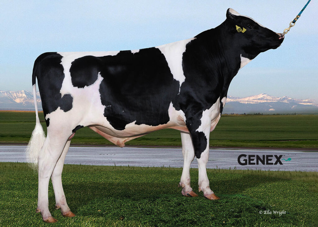 GXCOMET