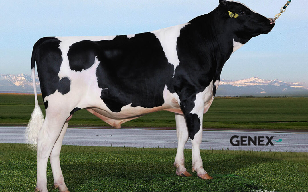 GXCOMET